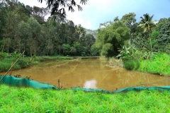 Fishing & Bamboo Rafting